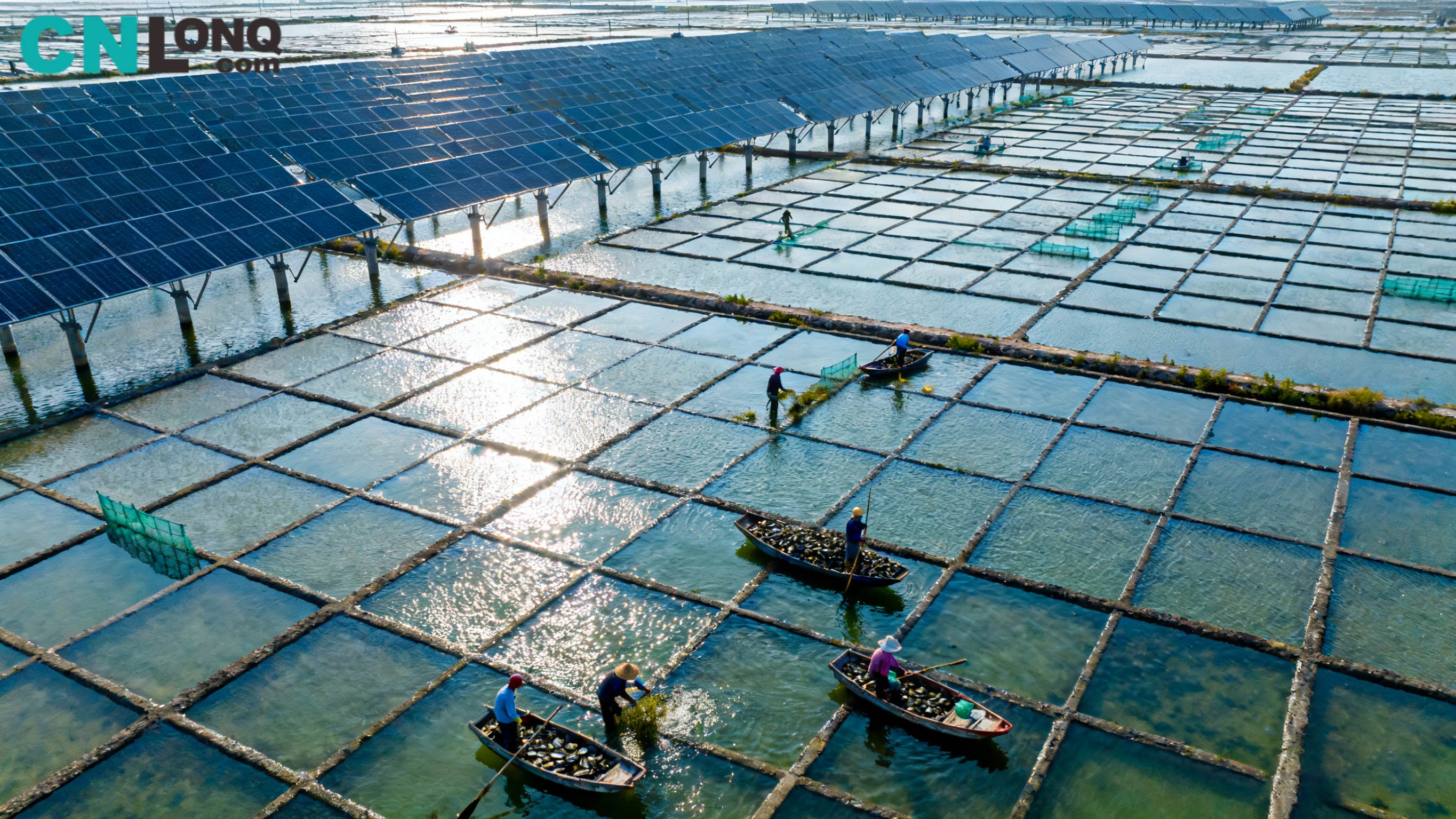 Samlet investering på RMB 1,2 milliarder! Xindao Qingkou Salt Field 250MW 